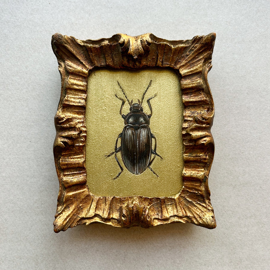 "Gold Bug 1"