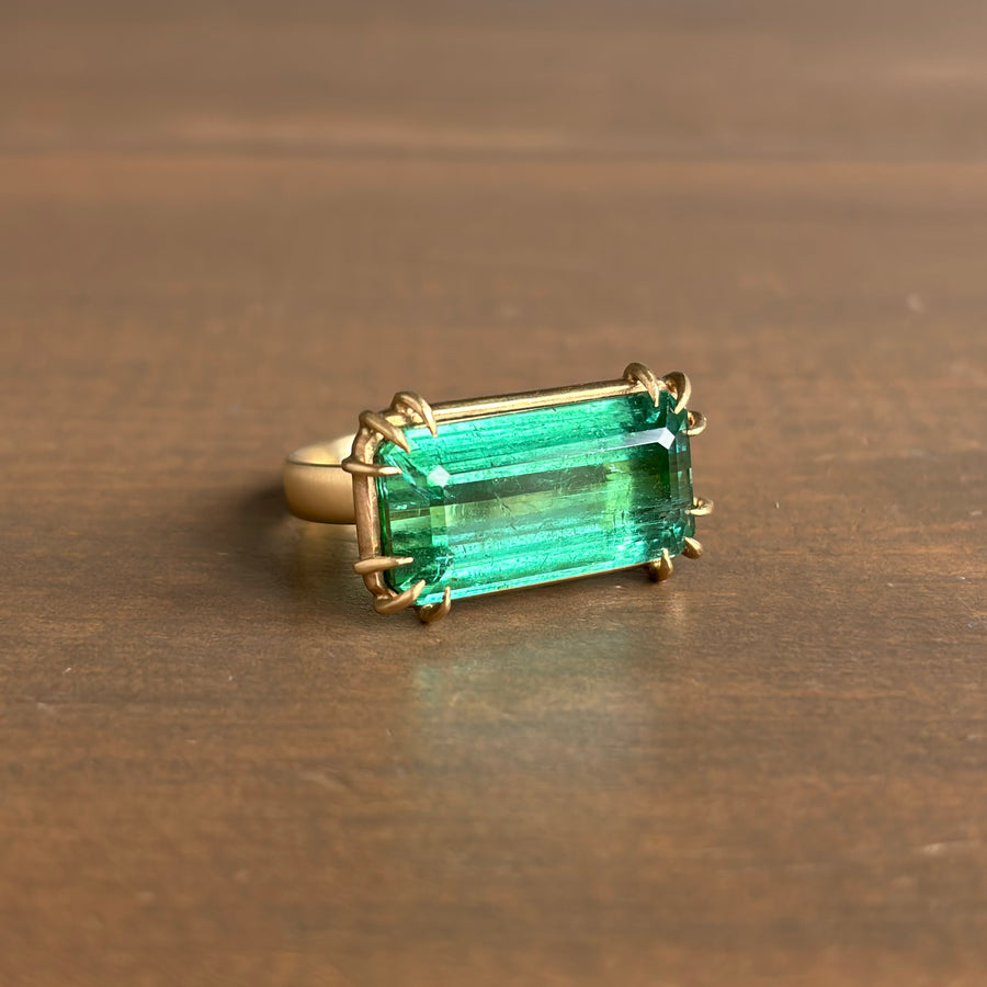 Grand Birch Forest Tourmaline Vanity Ring