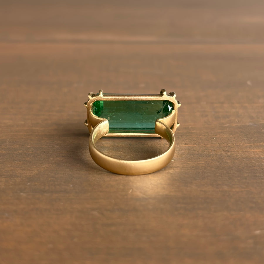 Grand Birch Forest Tourmaline Vanity Ring