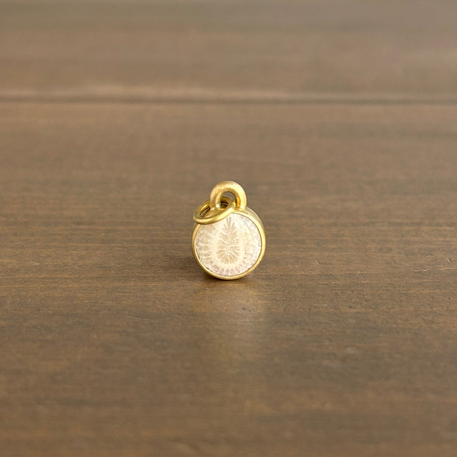 Round Petrified Coral Cabochon Pendant