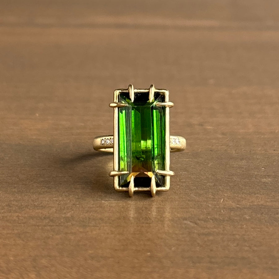 Cloud's Edge Watermelon Tourmaline & Diamond Vanity Ring