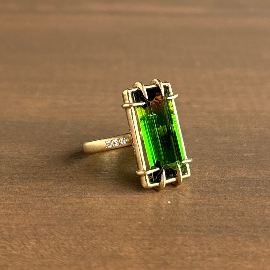 Cloud's Edge Watermelon Tourmaline & Diamond Vanity Ring