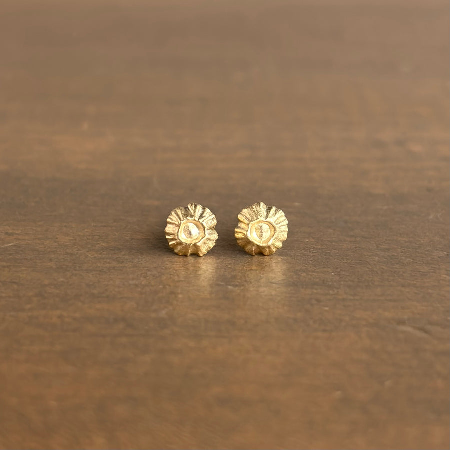 Gold Barnacle Stud Earrings