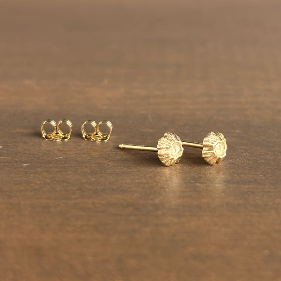 Gold Barnacle Stud Earrings