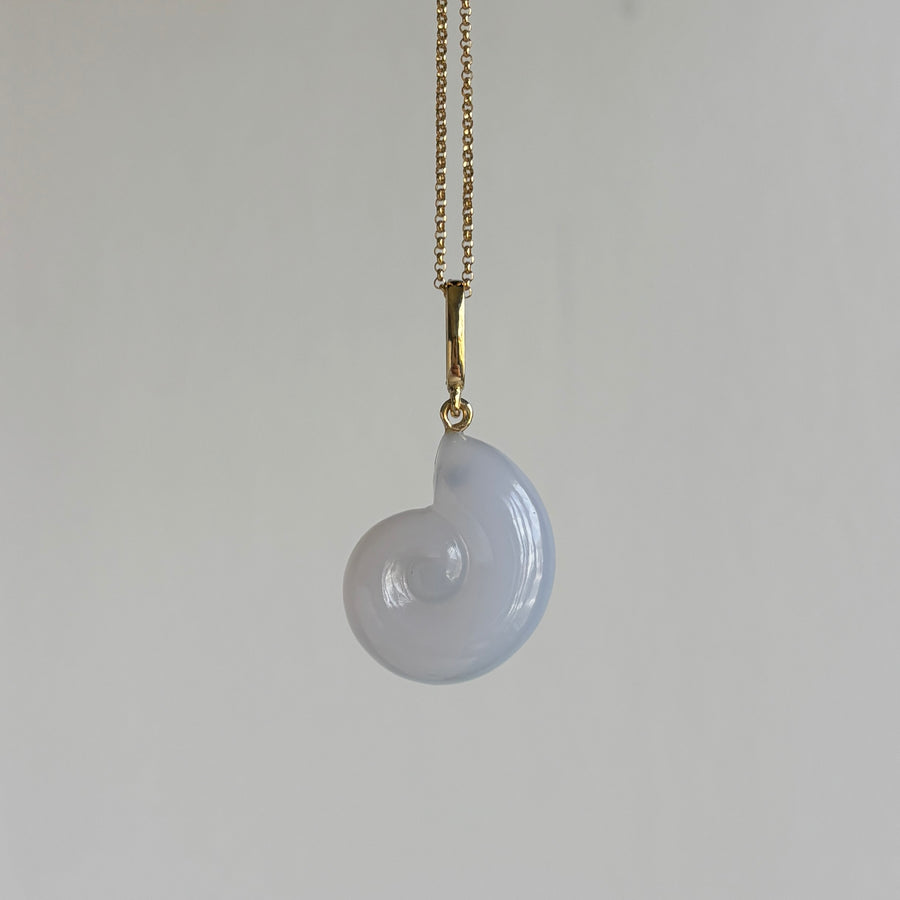 Necklace with a white shell pendant on a light gray background