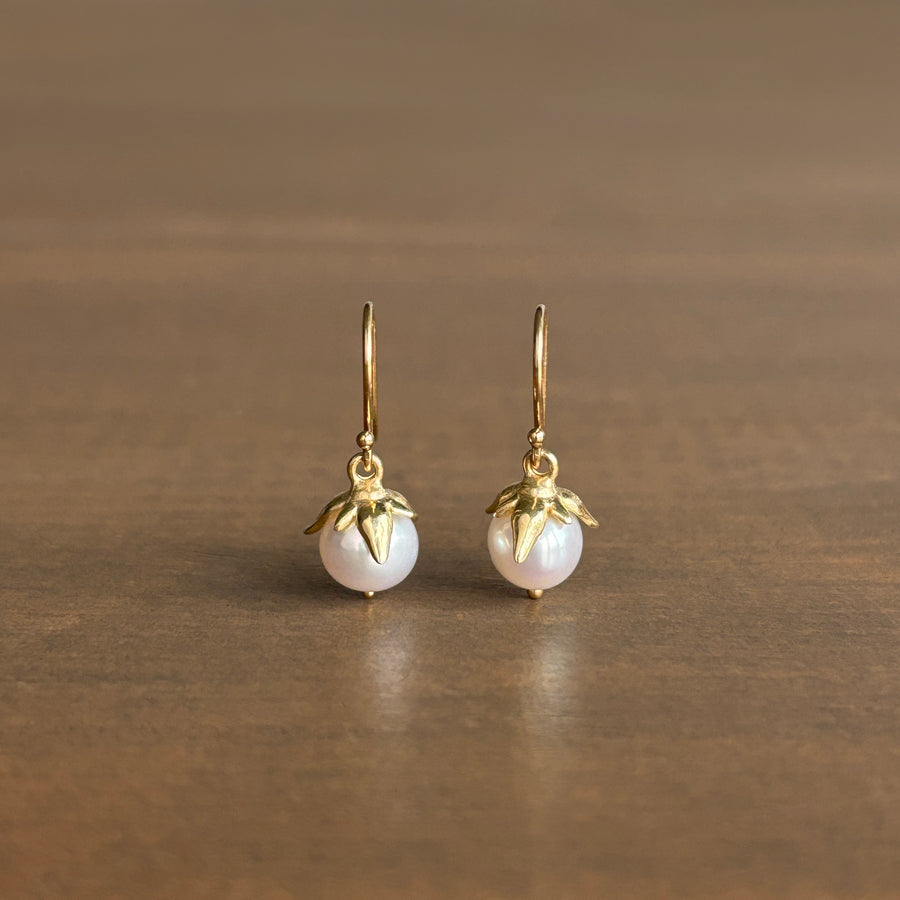 Pair of pearl earrings with gold tops on a brown background