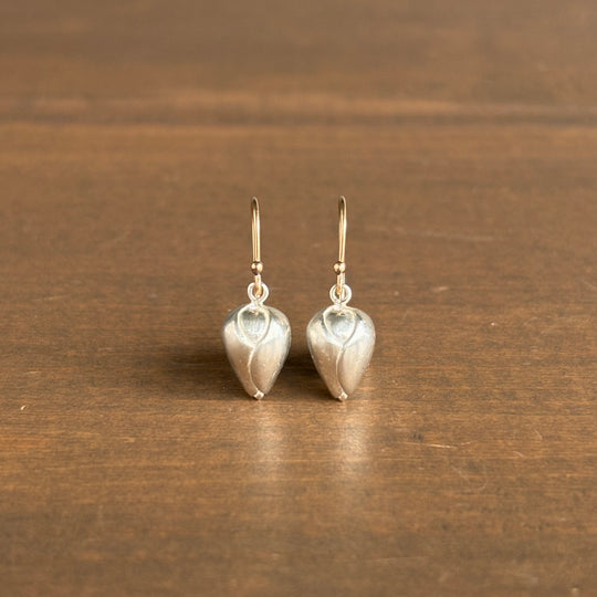 Pair of silver earrings on a wooden surface