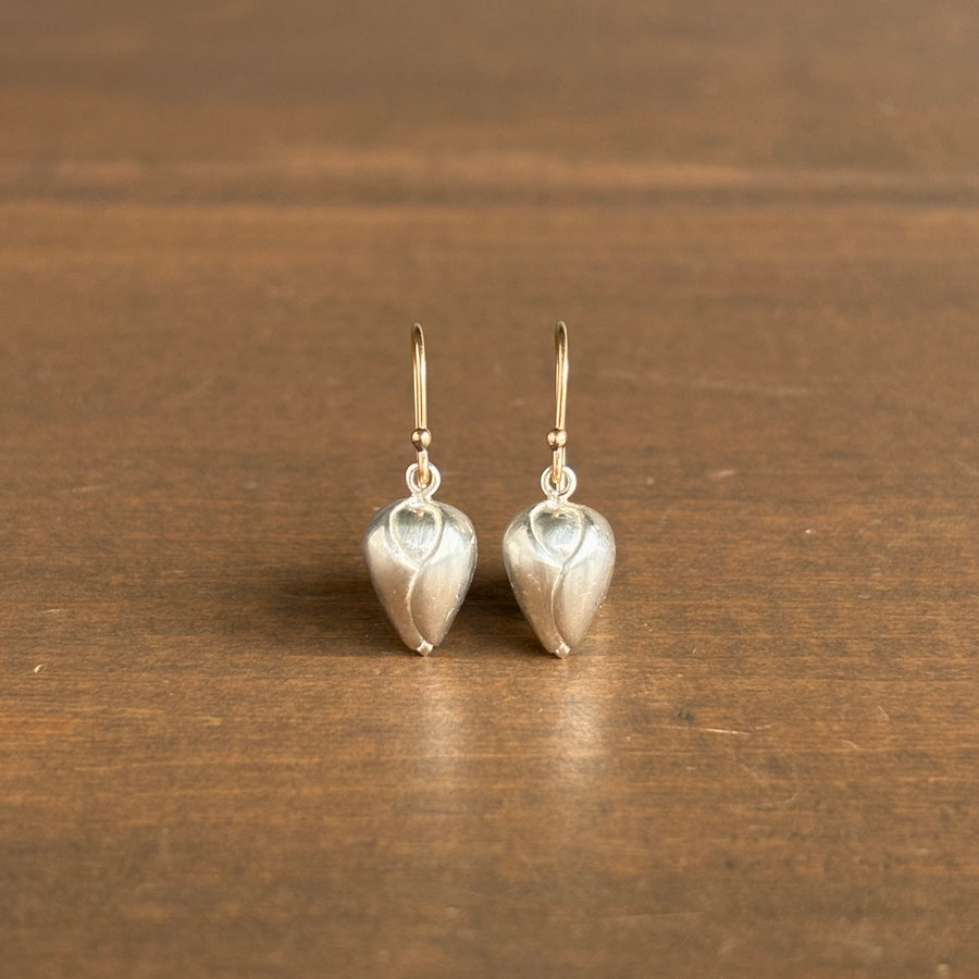 Pair of silver earrings on a wooden surface