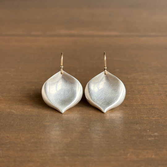 Pair of silver earrings on a wooden surface