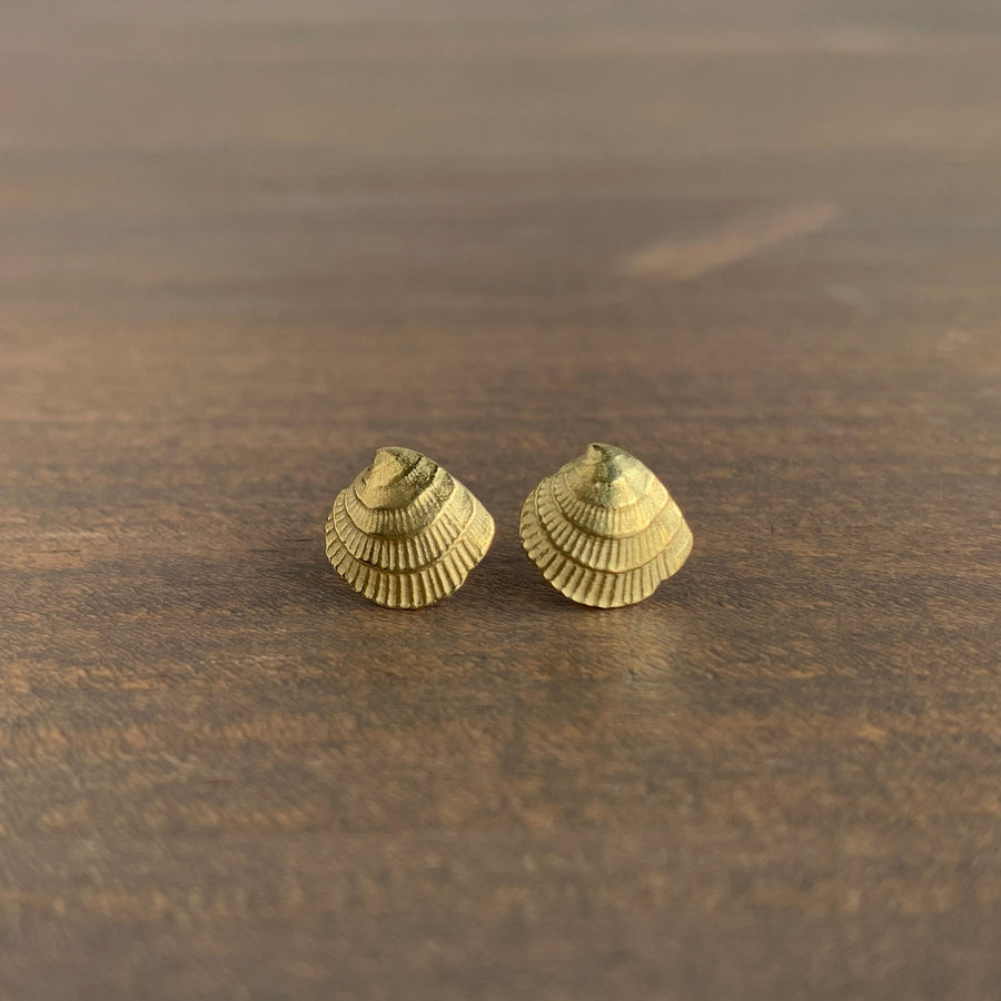 Cross Bar Venus Shell Stud Earrings